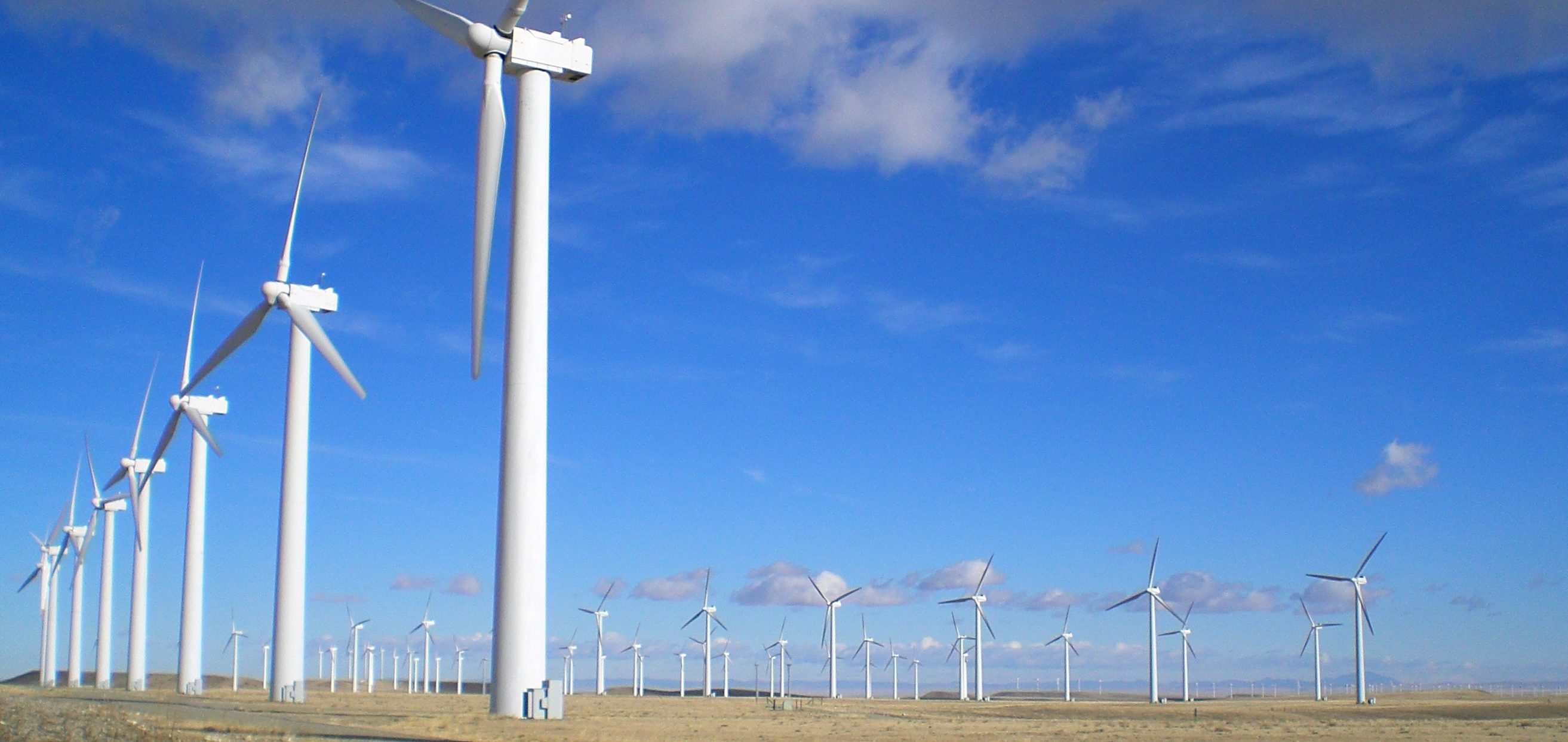 dozens of wind turbines on a prairie project WLC provided wind and transmission support services