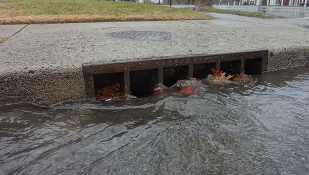 Picture of stormwater running down a street gutter into the sewer grate